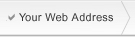 2. Your Web Address
